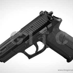 SIG SAUER 2022